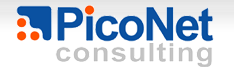 PicoNet Consulting